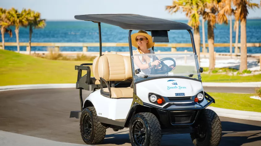Resort Cart