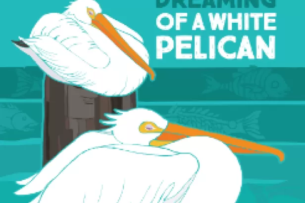 Pelican flyer
