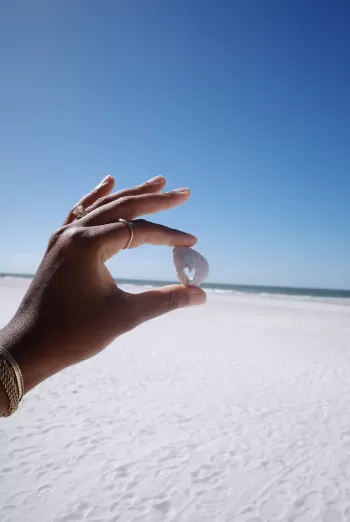 Hand holding a small white seashell with beach and sky in background.