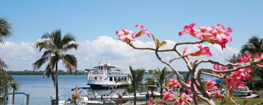 Cruise to Cabbage Key with Captiva Cruises