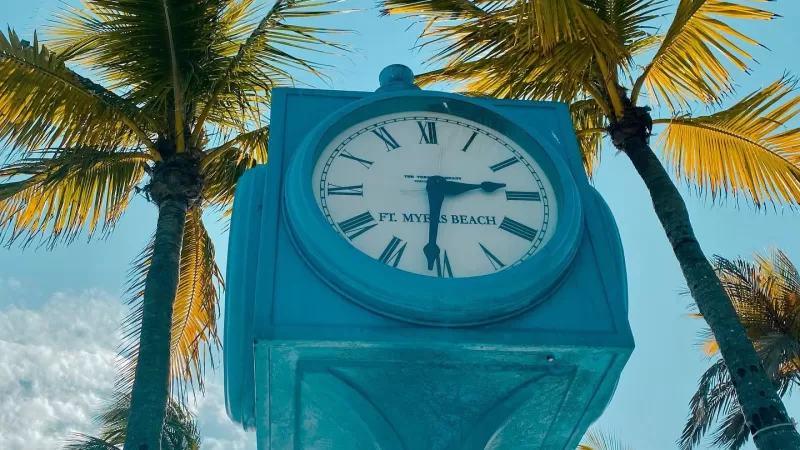 Times Square Palm Tree Sky Clouds
